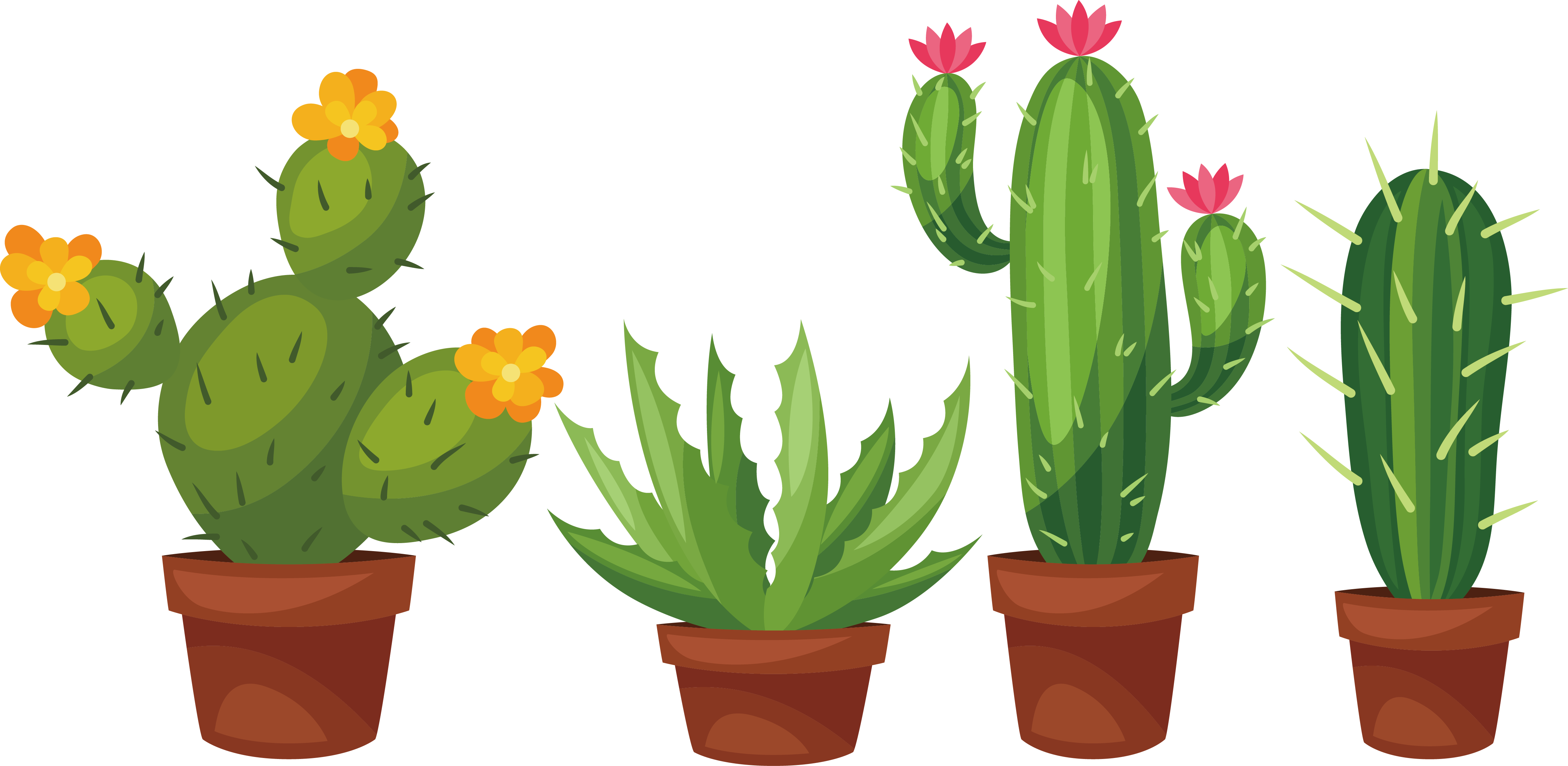 plant, draw, floral free png vector