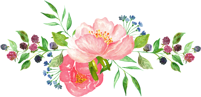 set, floral frame, watercolor flower png background hd download