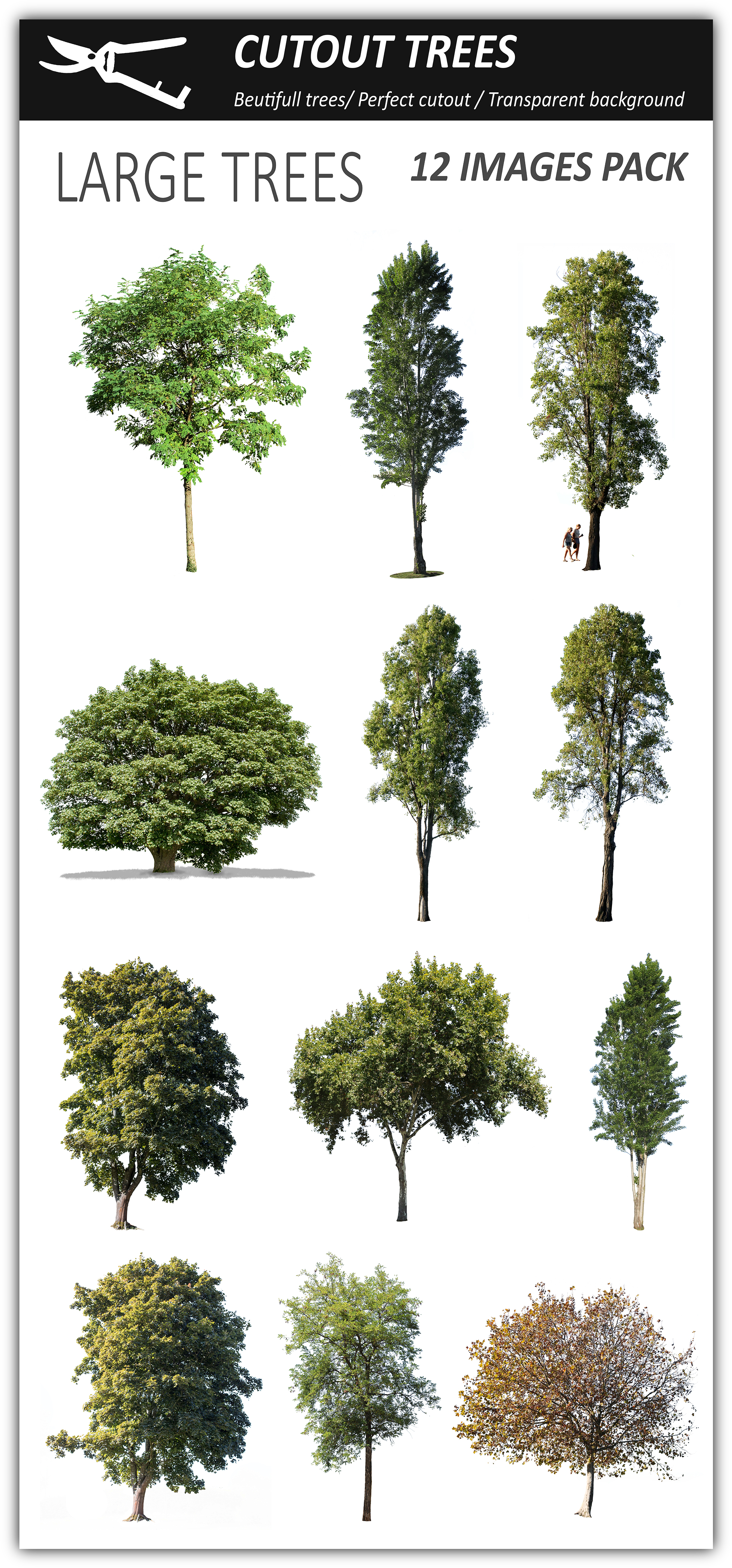 set, trees, work out 500 png download