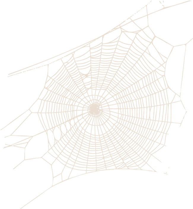 spider web, background, illustration png photo background