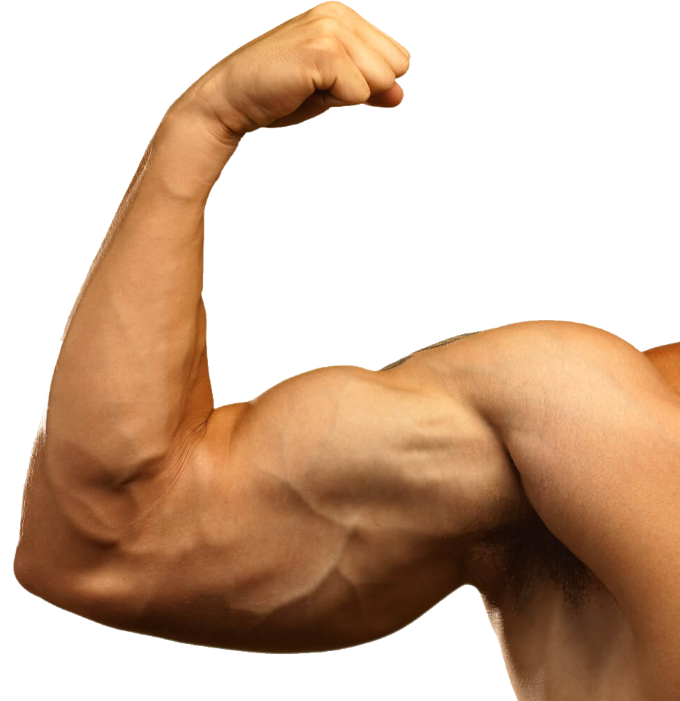 strength, sport, muscle png images background