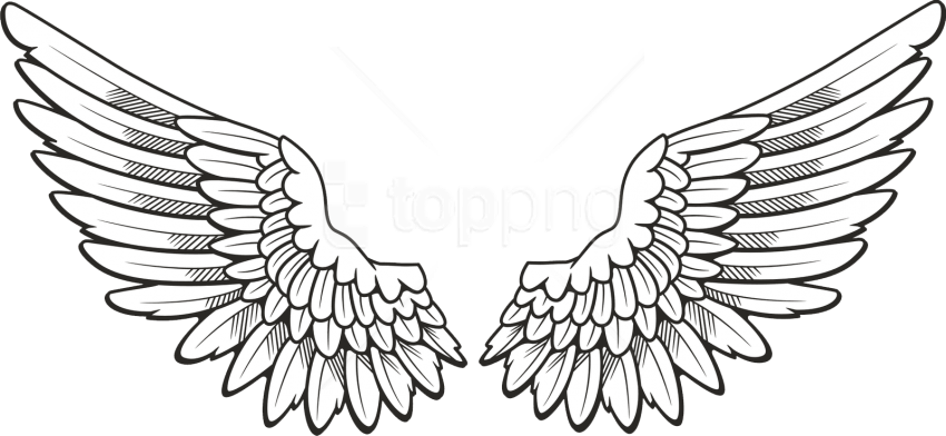 symbol, draw, christmas angel high quality png images, transparent png download