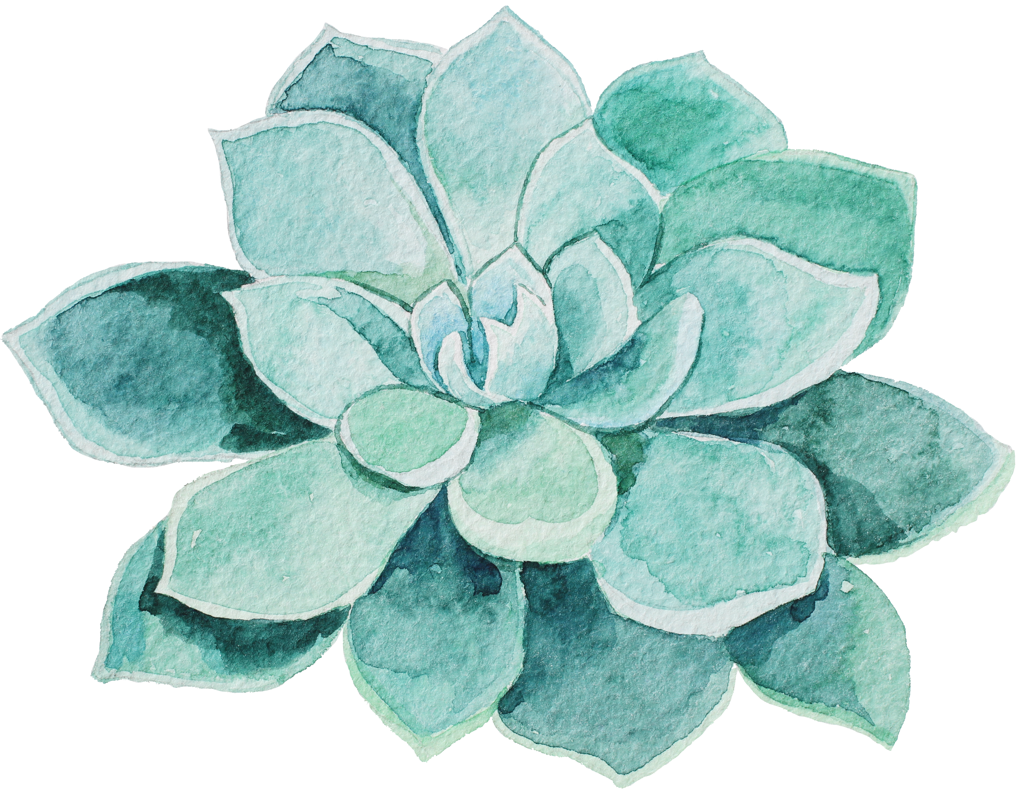 watercolor flower, isolated, river Png download free