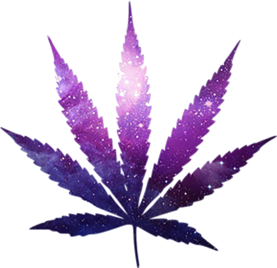 weed, tree, cannabis png photo background