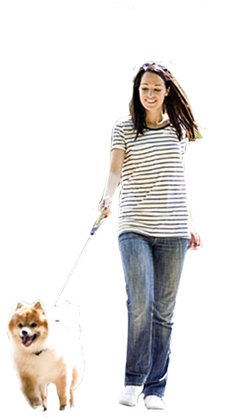 woman, brushes, walk Png images with transparent background