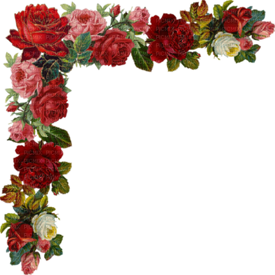 background, certificate, flowers Png Background Full HD 1080p