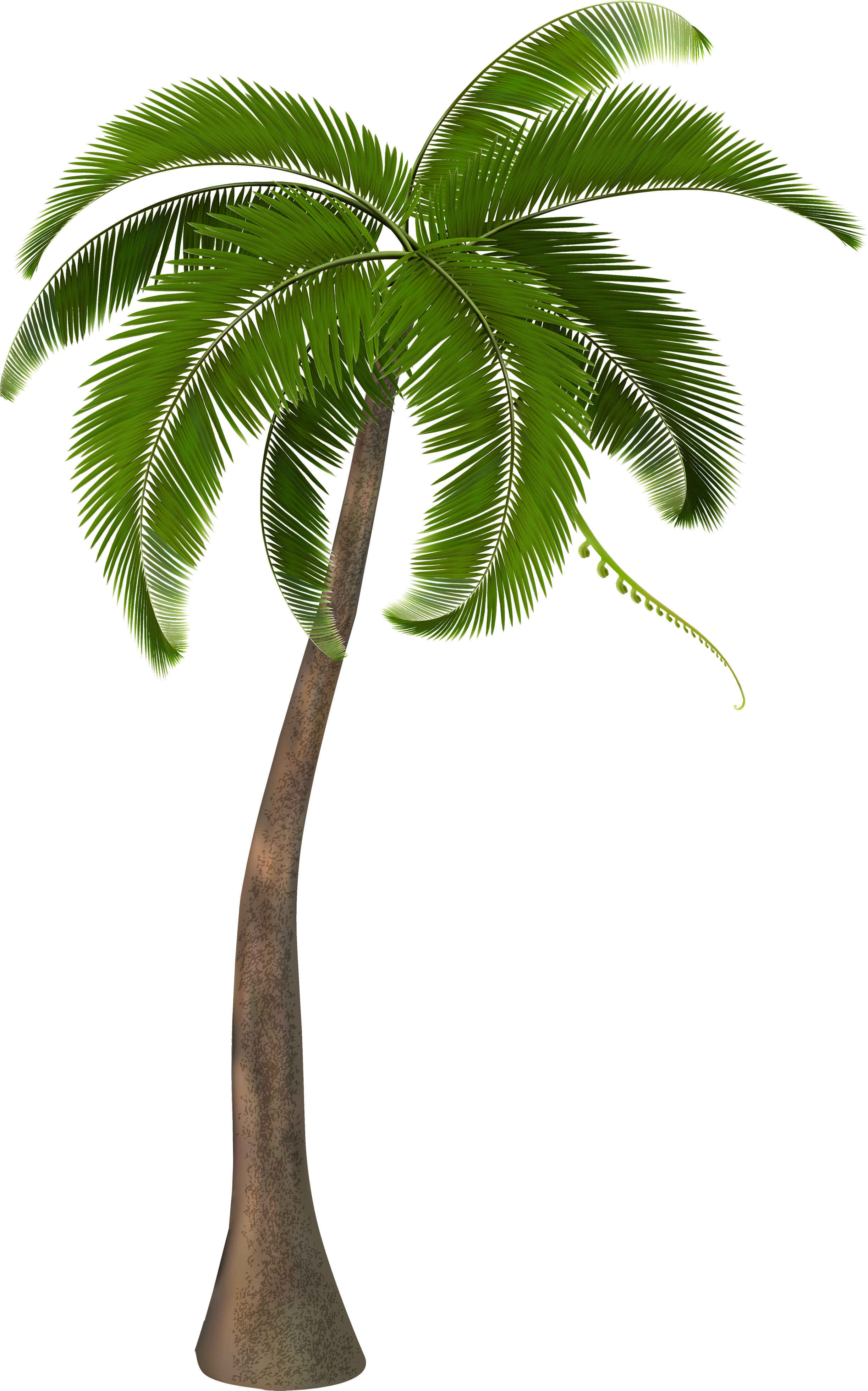 background, trees, beach png background download