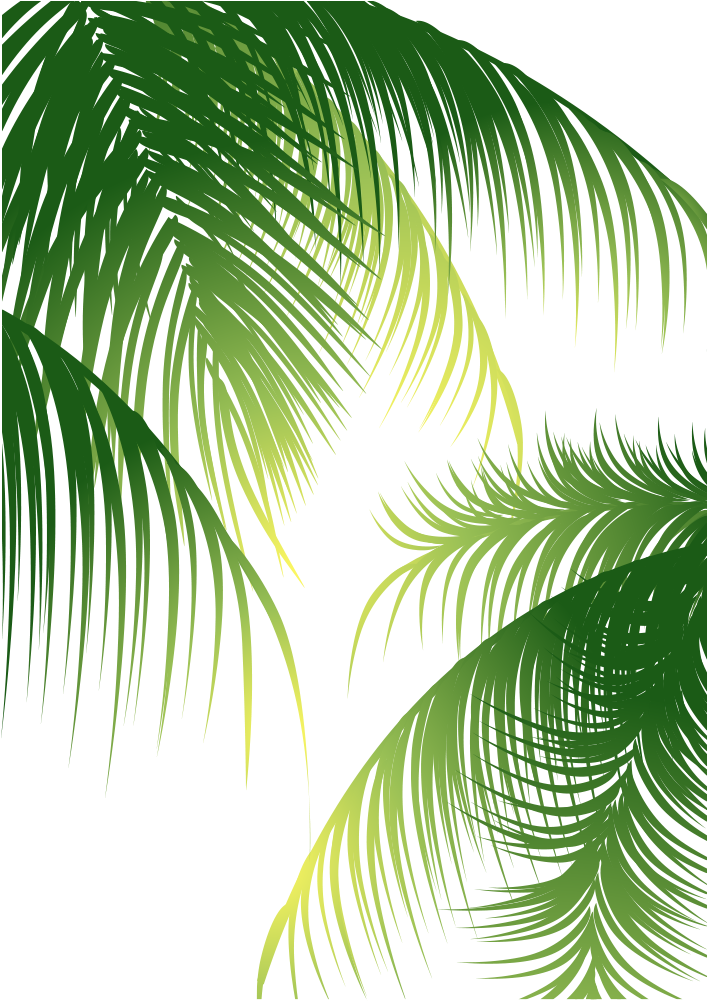 beach, banner, leaf pattern Png Background Full HD 1080p