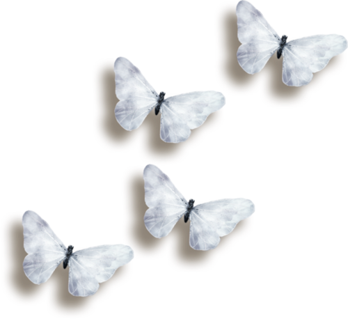 butterfly, pattern, pharmacy PNG images for editing