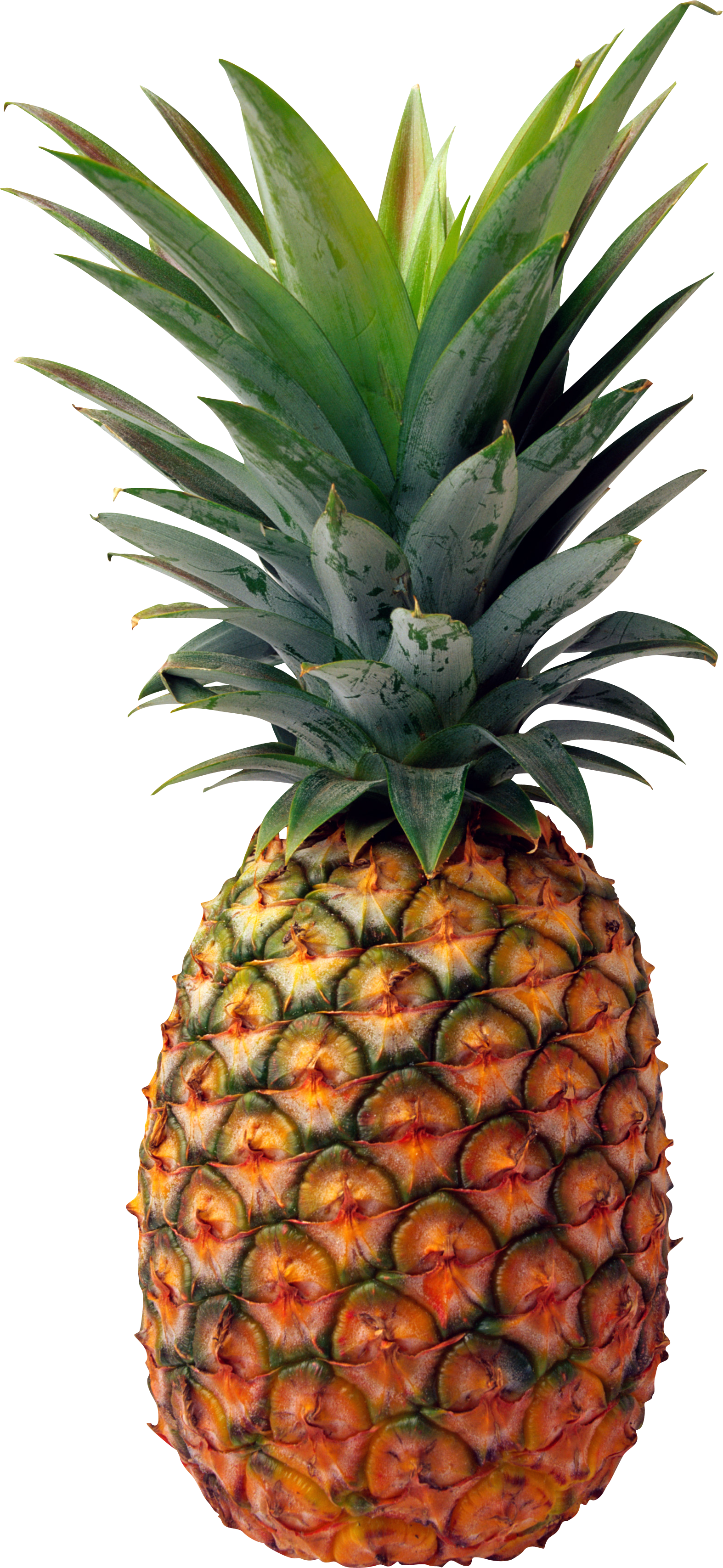 card, photo, ananas png photo background