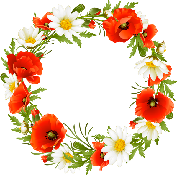 christmas wreath, plants, symbol high quality png images
