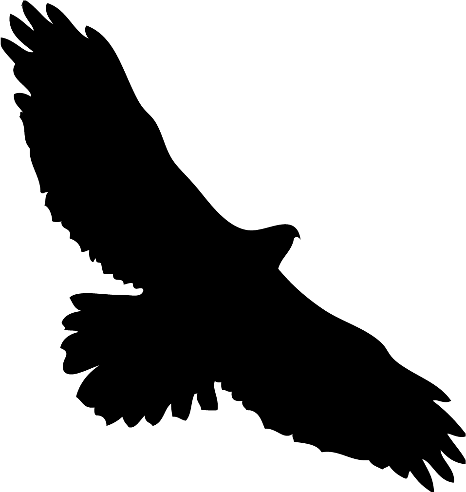 eagle, tail, template png images online