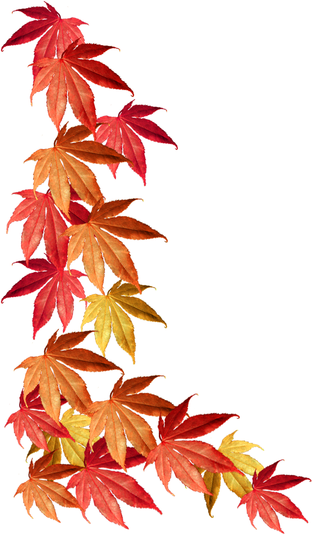 fall, pattern, autumn png background full hd 1080p