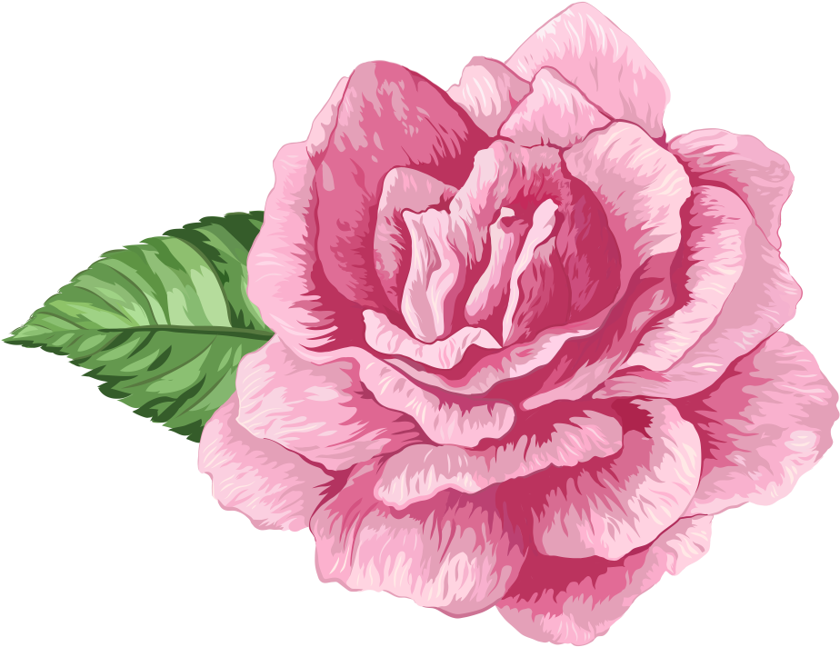 flower, symbol, rose Png images for design