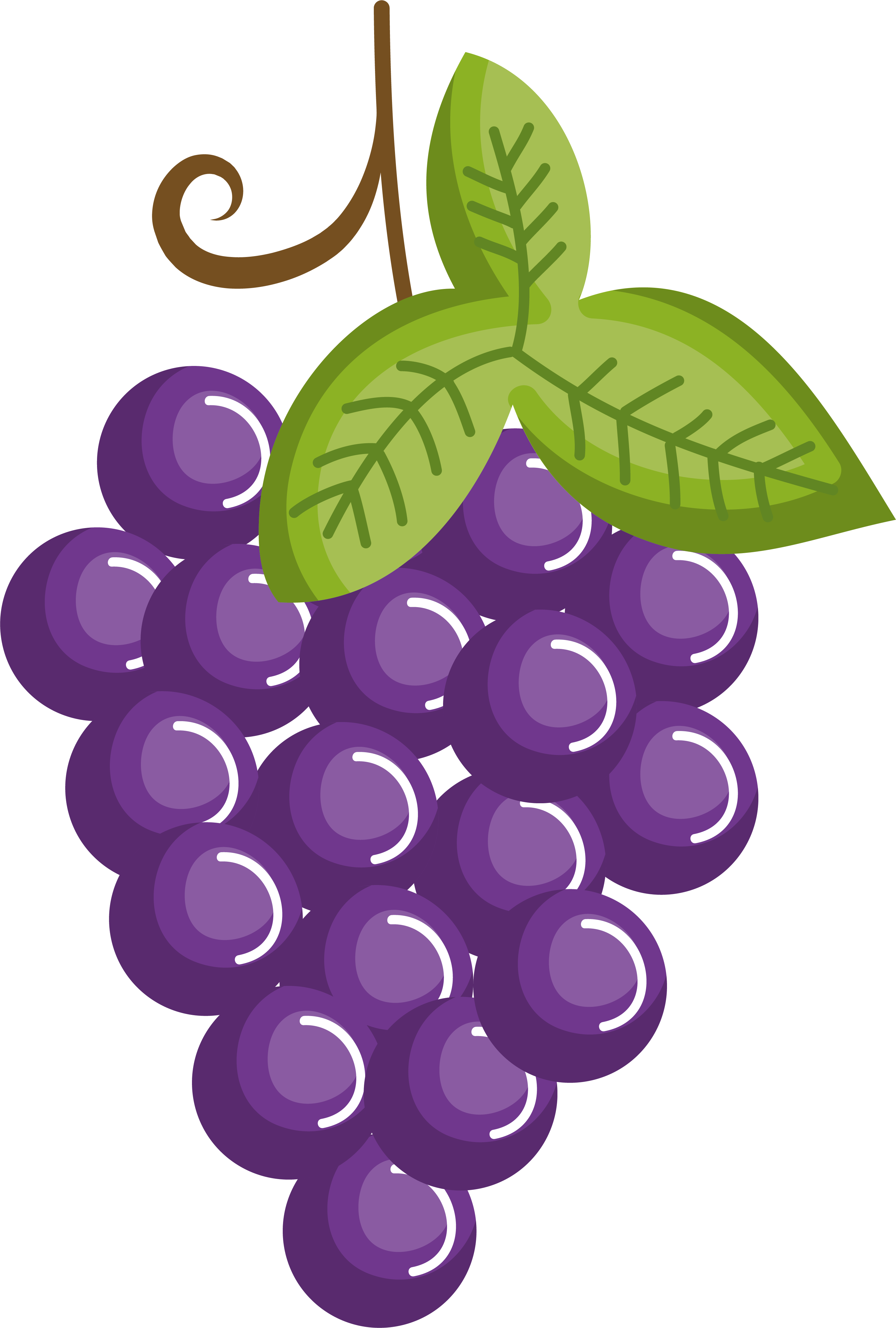 fruit, grape, strawberry Png Background Full HD 1080p