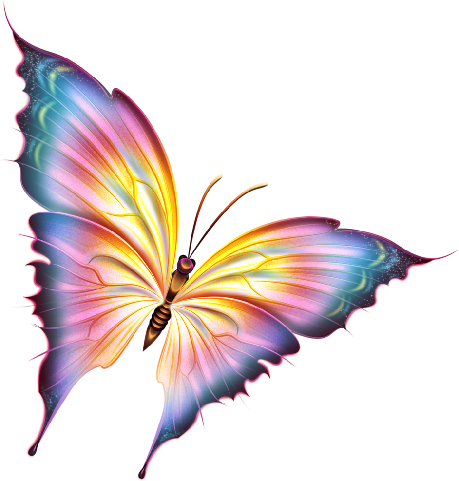 insect, background, wing Png images for design