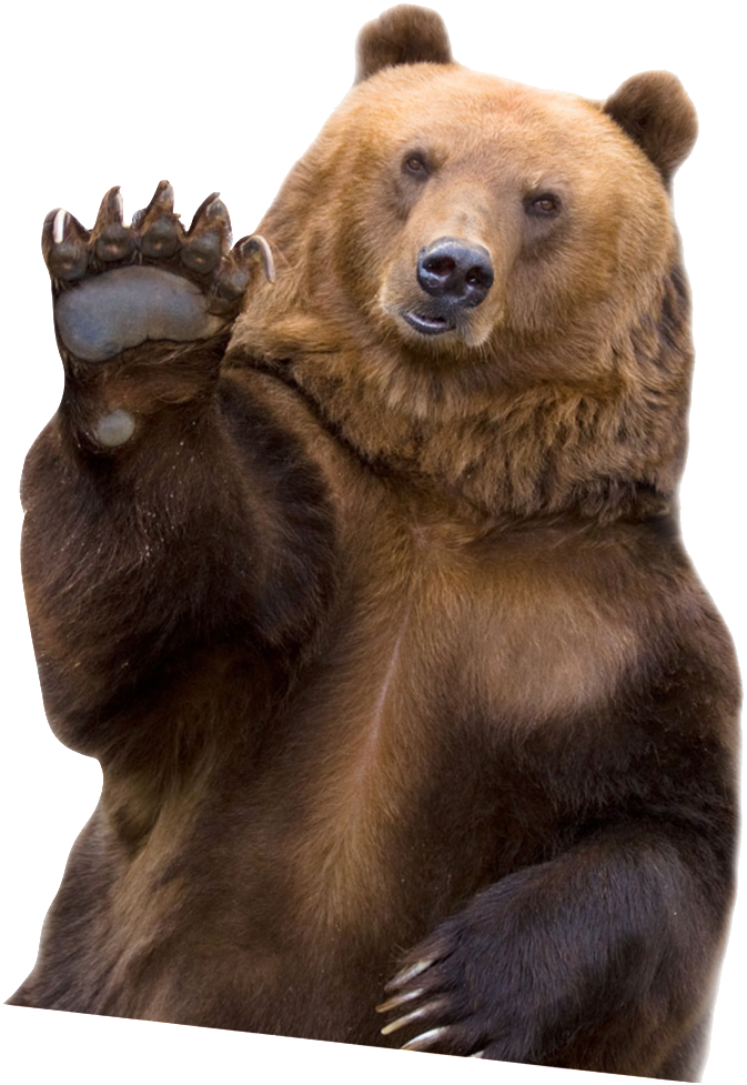 overweight, beer, bear png images for photoshop
