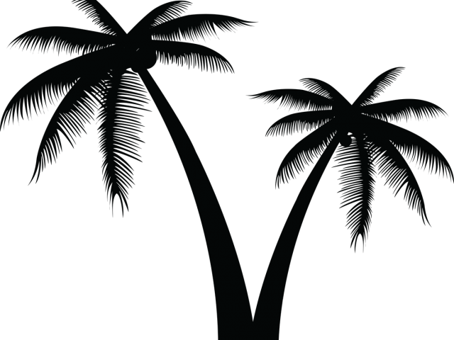 palm tree, texture, pattern Free Unlimited PNG download