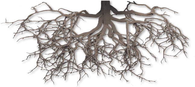 science, background, tree roots Free Unlimited PNG download