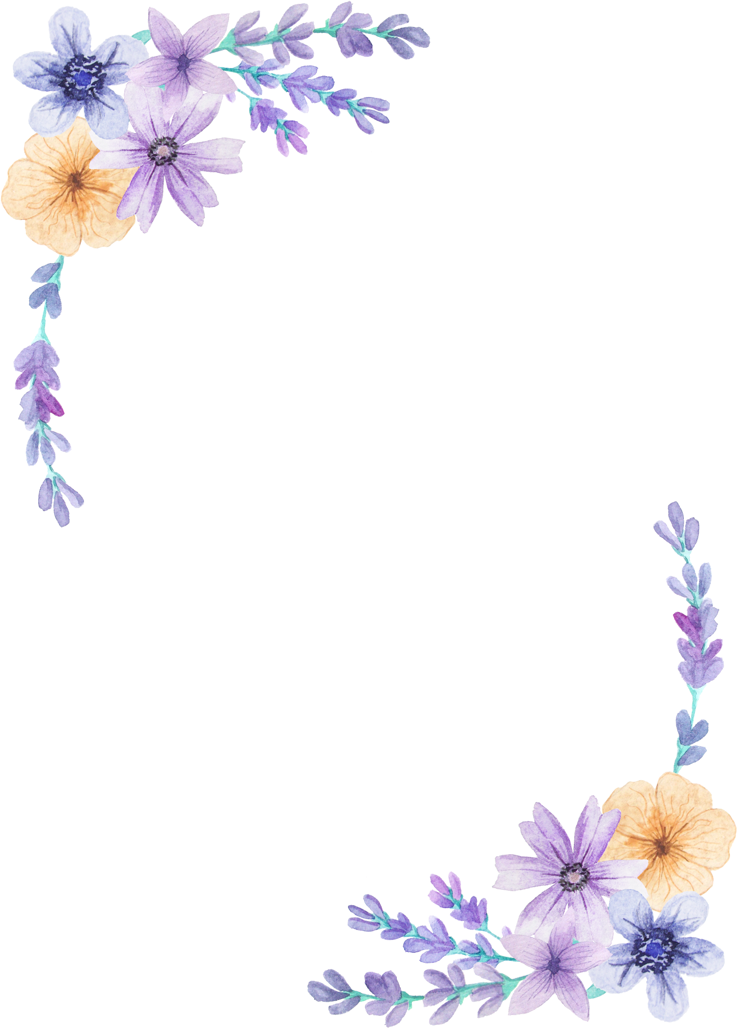 set, certificate, flowers png photo background