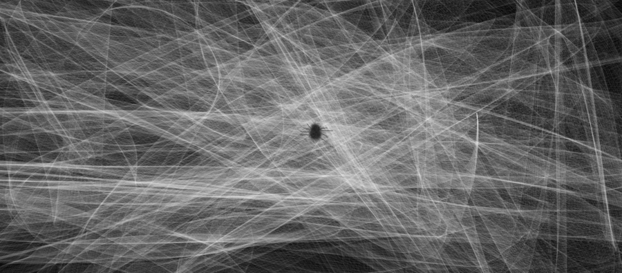 spider web, texture, background png photo background