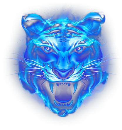 tiger, light bulb, sign 500 png download