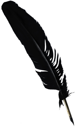 feather, ink, pen Png Background Full HD 1080p