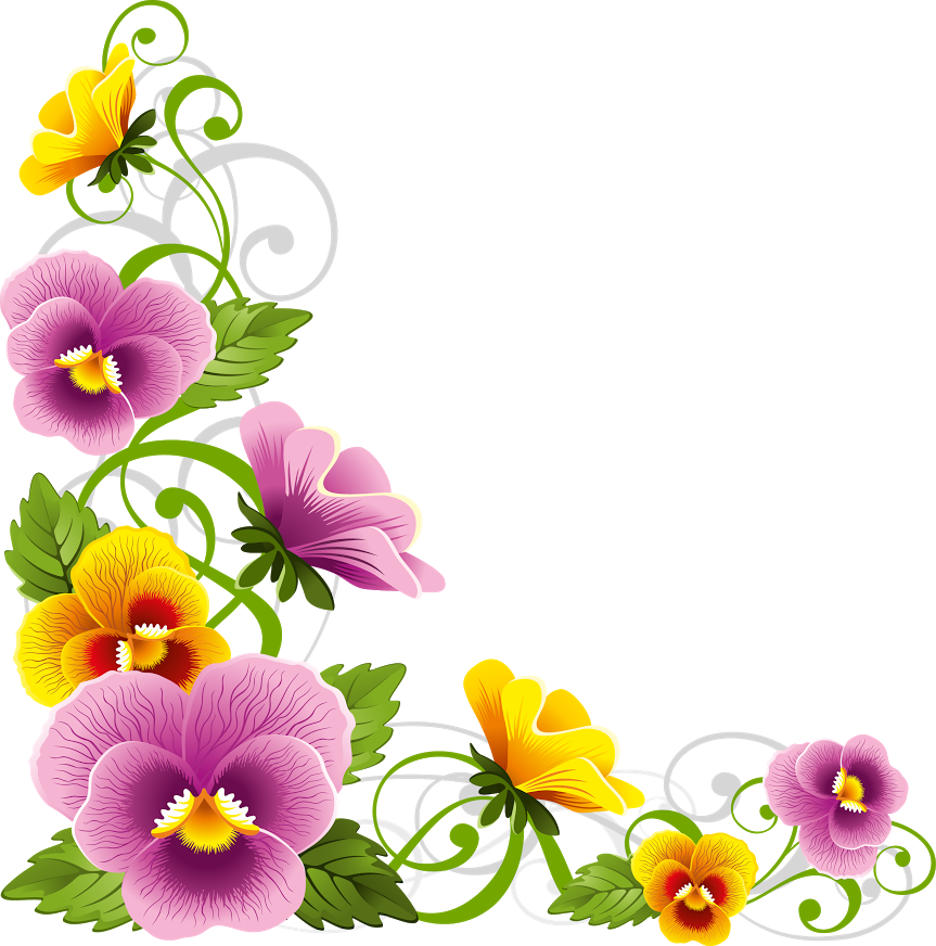 flower, certificate, border png photo background