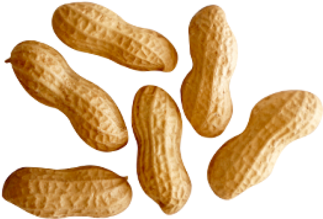 food, peanut, abstract png background full hd 1080p