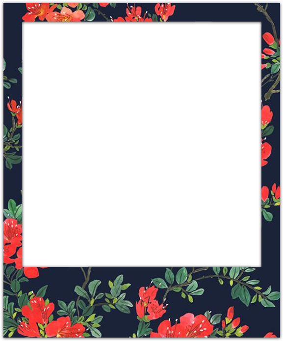 isolated, flowers, border png background hd download