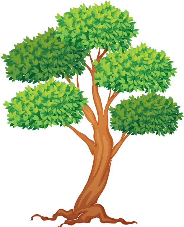 leaf, illustration, trees Png download free