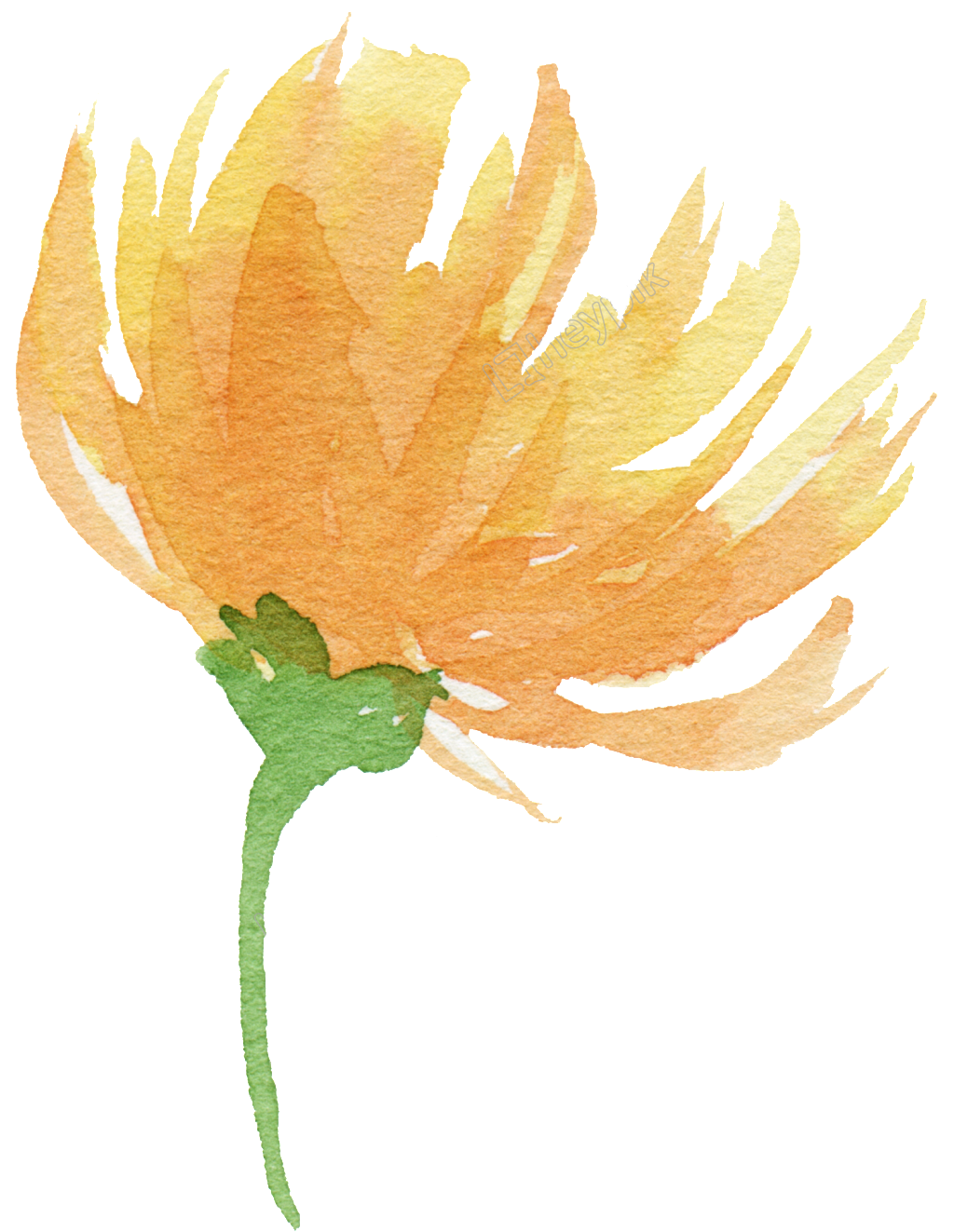 sun clip art, flower frame, orange cone Free Unlimited PNG download