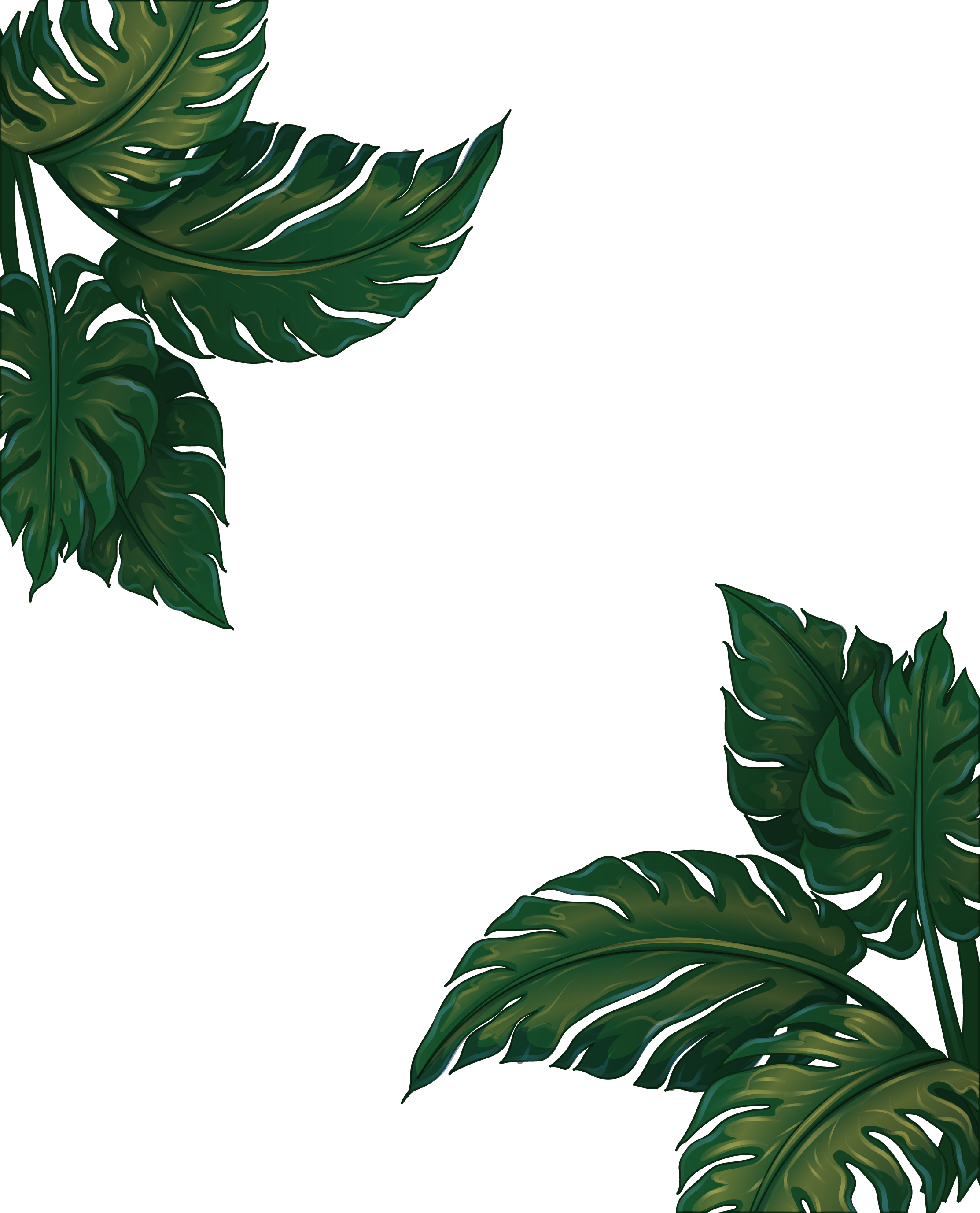 tree, foliage, banana leaf Png images with transparent background