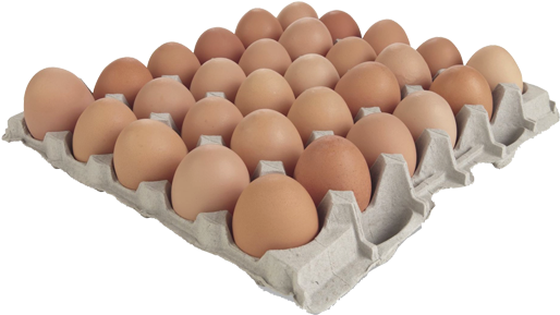 box, eggs, egg high quality png images