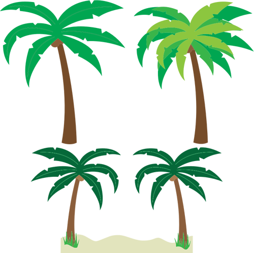 palm tree, trees, internet PNG images for editing