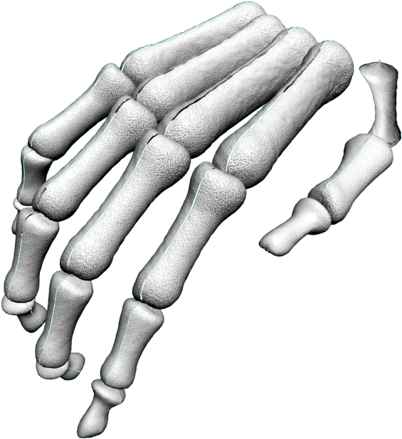 skeleton, hands, hand Png images with transparent background