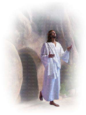husky, jesus, religion Png images gallery