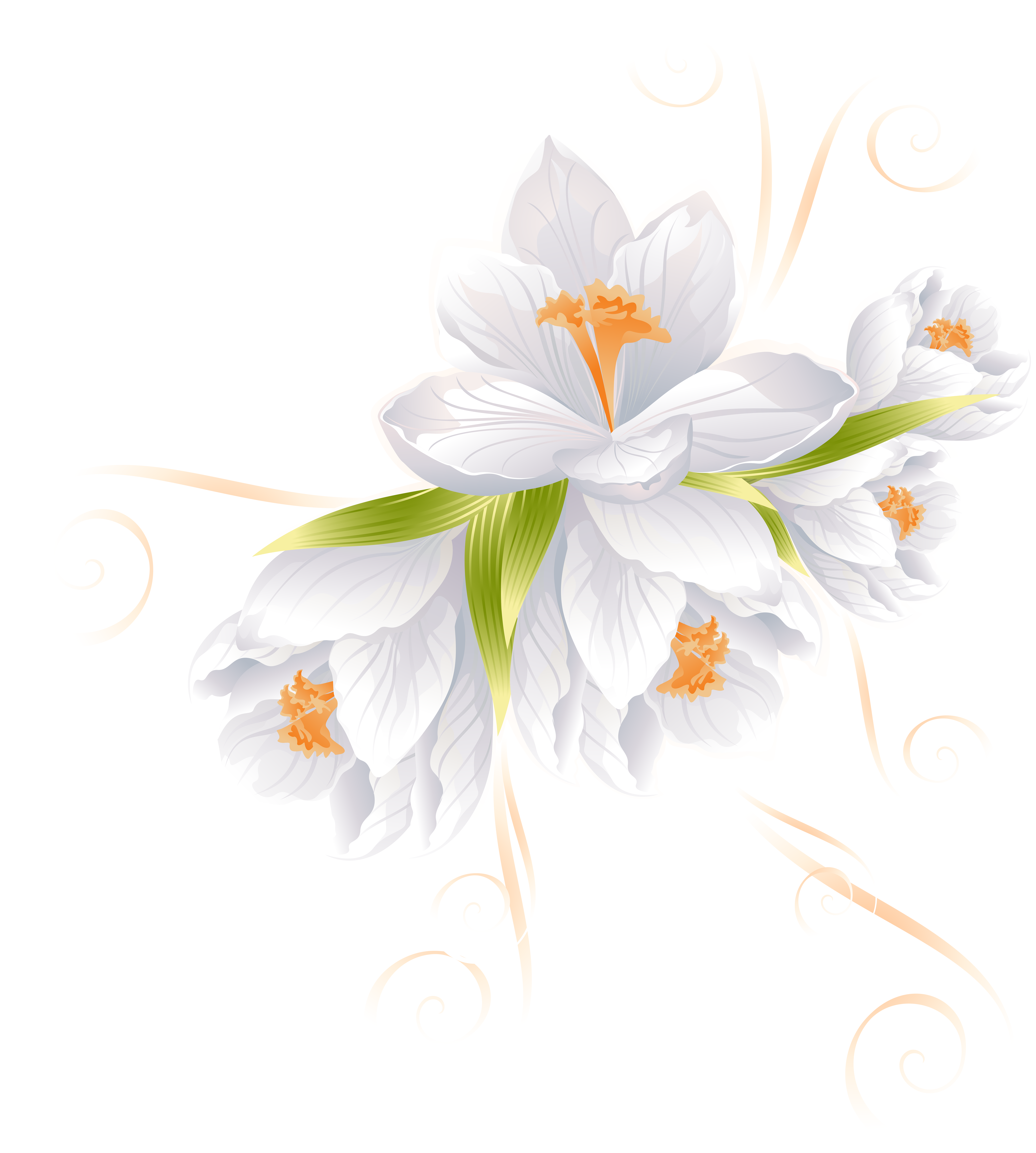 isolated, flower, logo Png images with transparent background