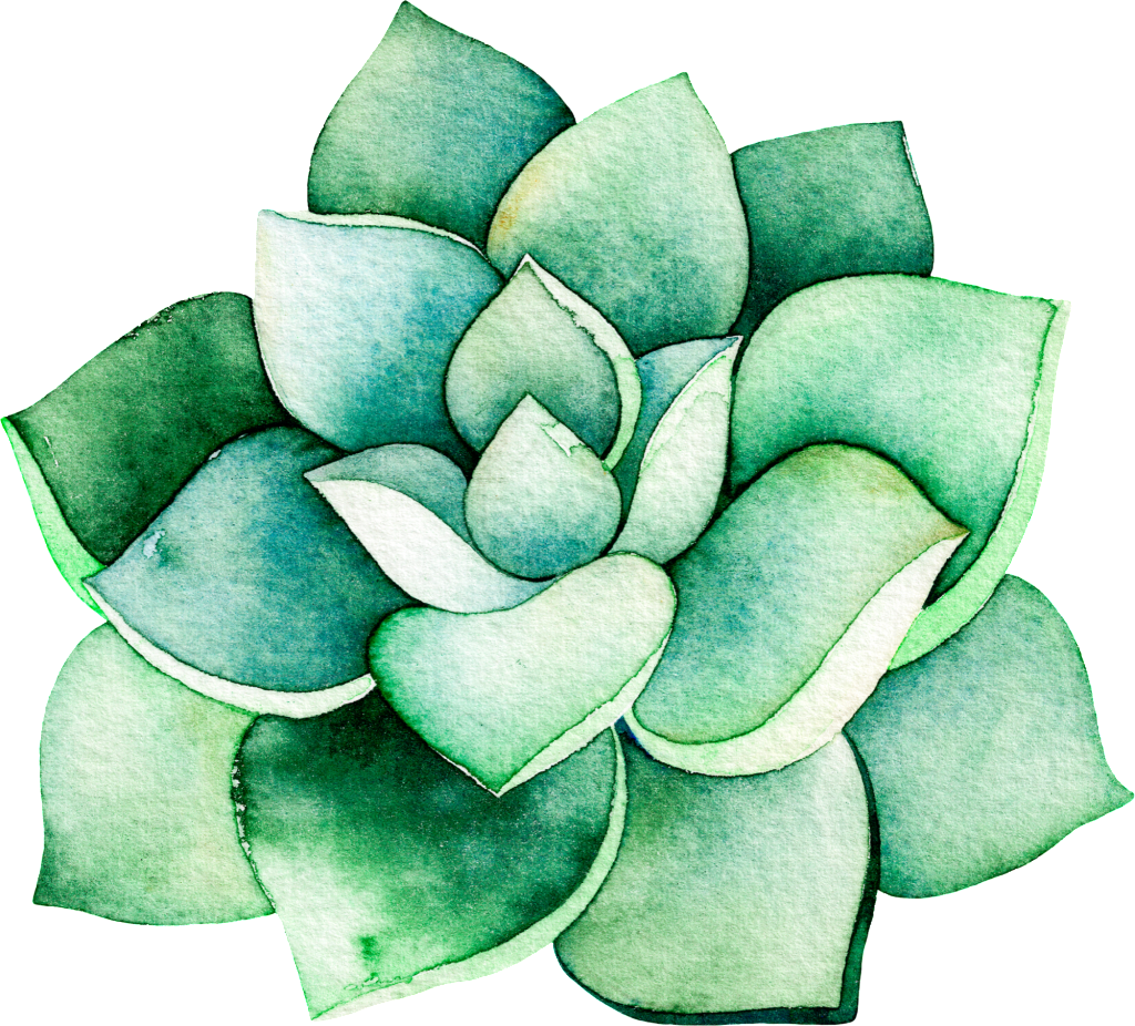 watercolor flower, tree, design png images online
