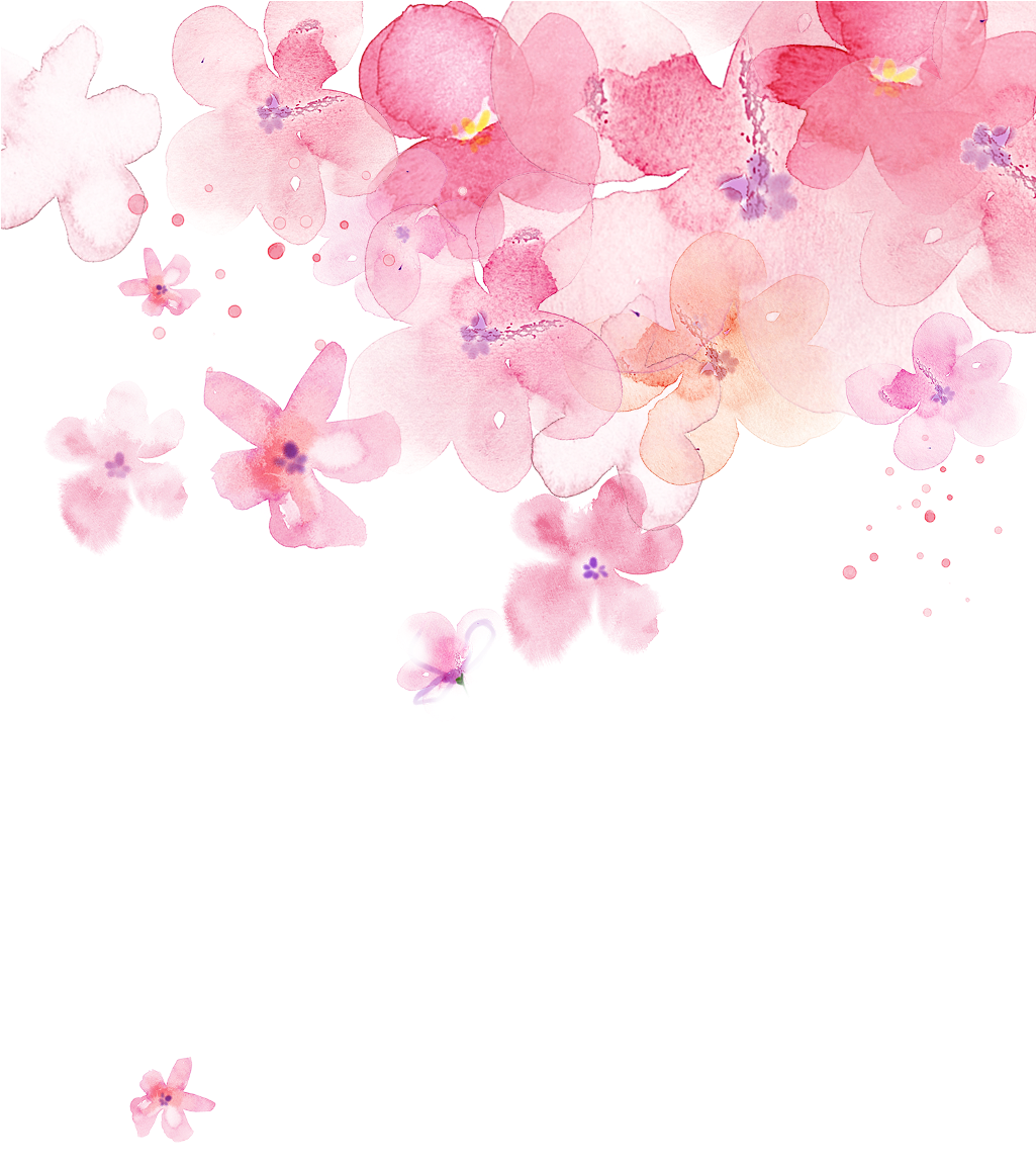 business, petals, fruit png background download