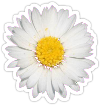 flower, animal, facebook high quality png images