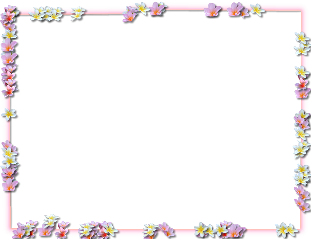 flower, flowers, frame png background full hd 1080p