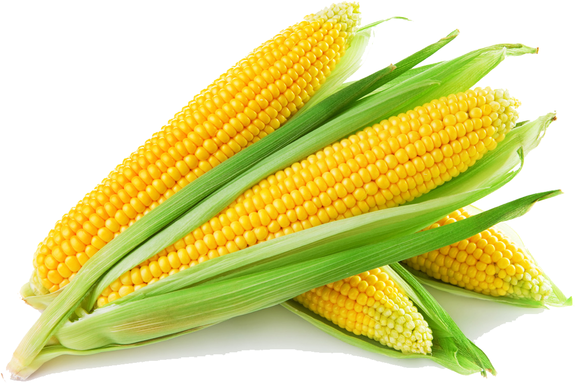 food, corn, web free png vector