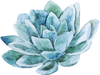 photo, watercolor flower, plant Png images for design