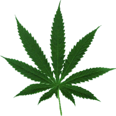 weed, tree, cannabis Png download free