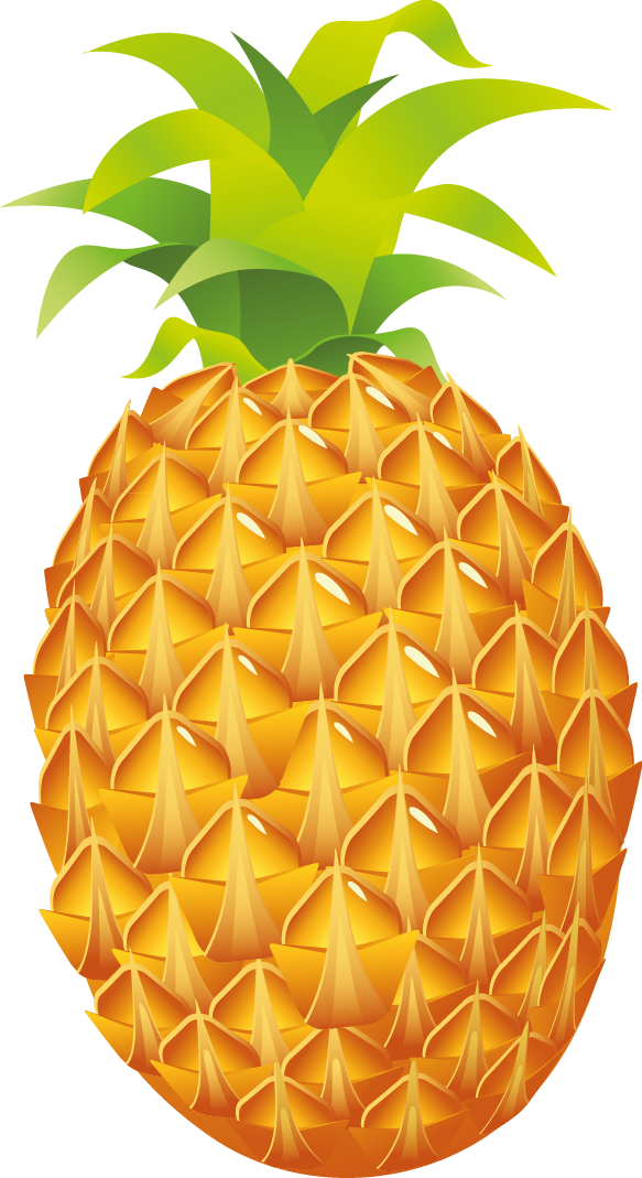 ananas, illustration, fruit png photo background