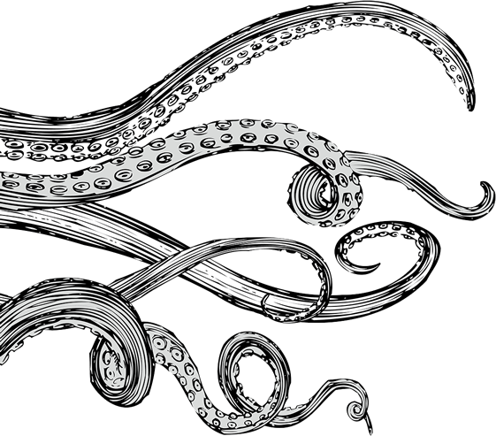animal, pattern, tentacle png background full hd 1080p