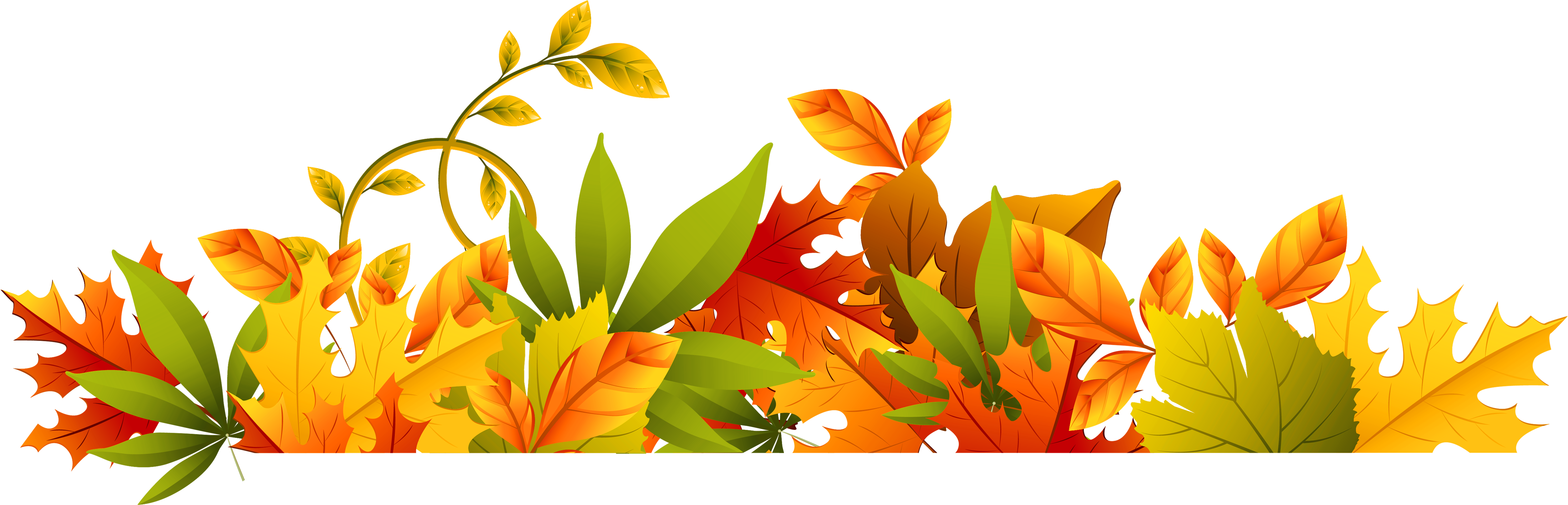 background, green leaf, autumn Png download for picsart