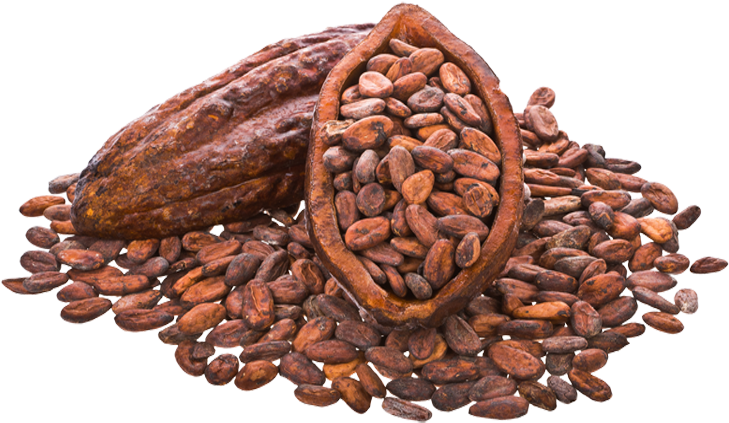 chocolate, coffee bean, abstract high quality png images