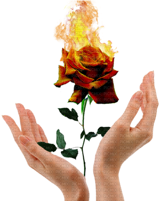 flame, hands, treatment free png vector